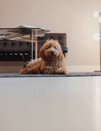 Heydi - JOU care for beauty Team